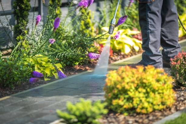 Best Spring Cleaning  in Loveland Park, OH
