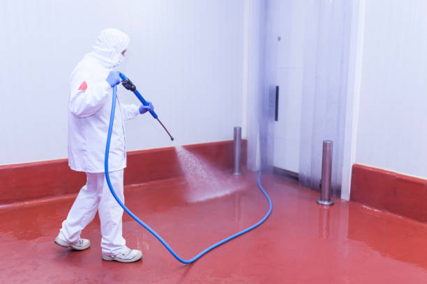 Best Oil Spill Cleanup  in Loveland Park, OH