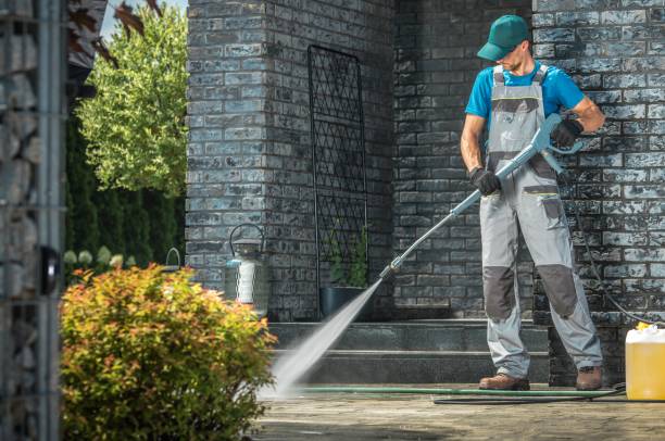 Best Animal Enclosure Cleaning  in Loveland Park, OH
